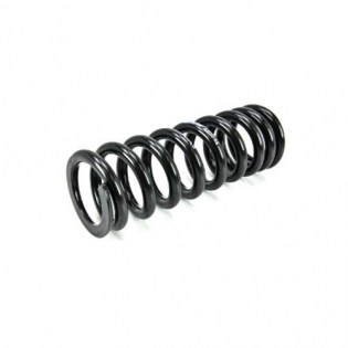 eibach_rearspring