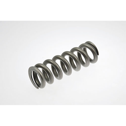 TMV REAR SPRINGS TITANIUM 8.8 KG 377654